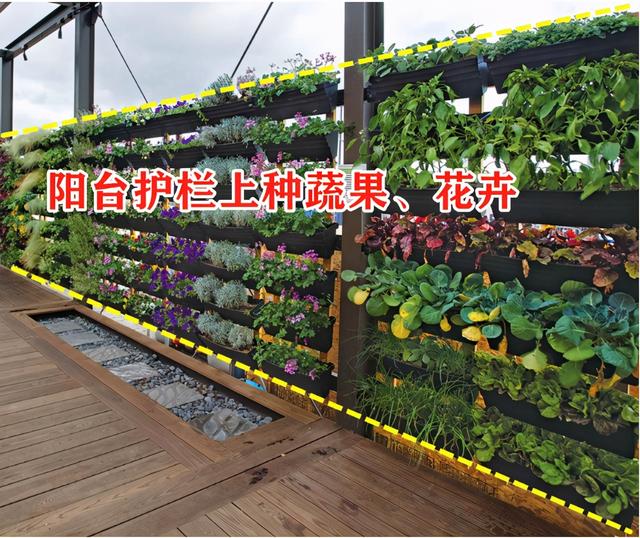 陽臺(tái)如何裝修種菜比較好