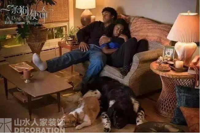 看電影.學(xué)裝修：因?yàn)橛心?，所以有意義